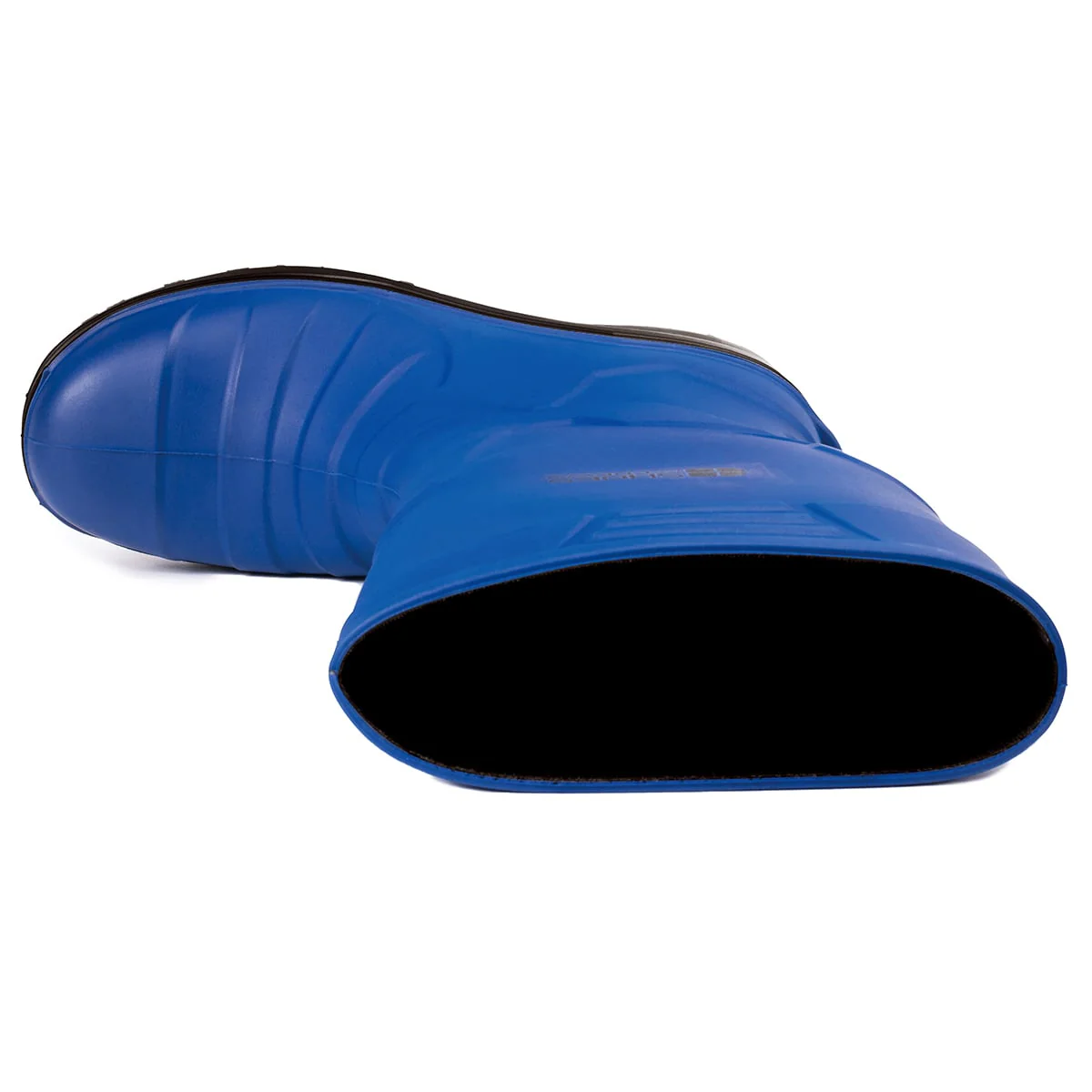 SENTINEL BLUE - Image 4